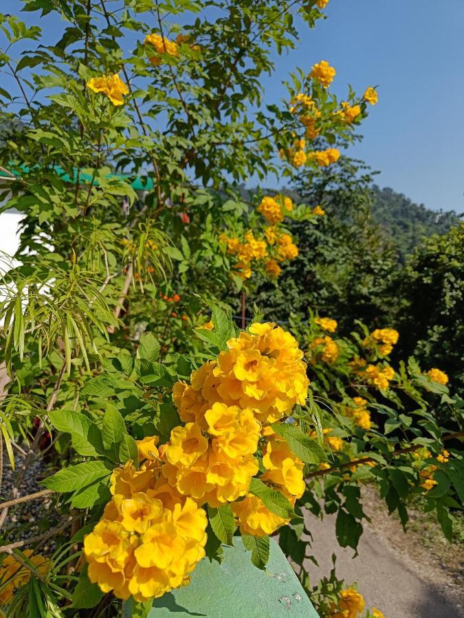 Nature Villa Rishīkesh Buitenkant foto