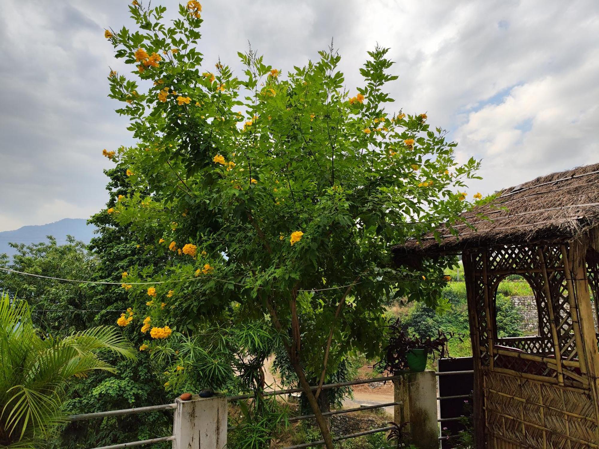 Nature Villa Rishīkesh Buitenkant foto